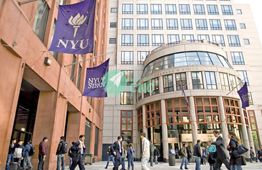 new-york-university