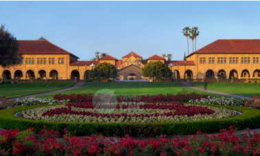 stanford-university