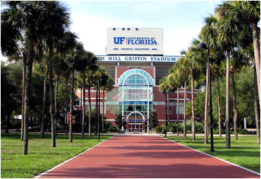 university-of-florida