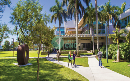 university-of-miami