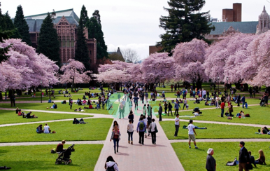 university-of-washington